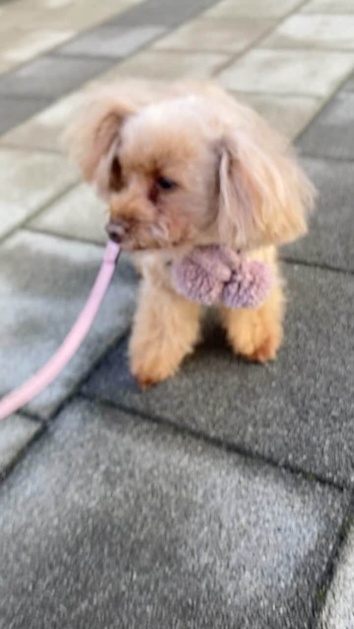 LINAのインスタグラム