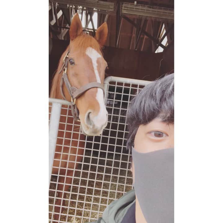 のインスタグラム：「史上最強馬さん(匿名)」