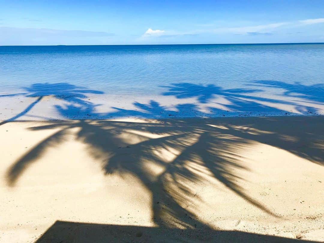 片山萌美のインスタグラム：「🇫🇯  #定期的nature #fiji」