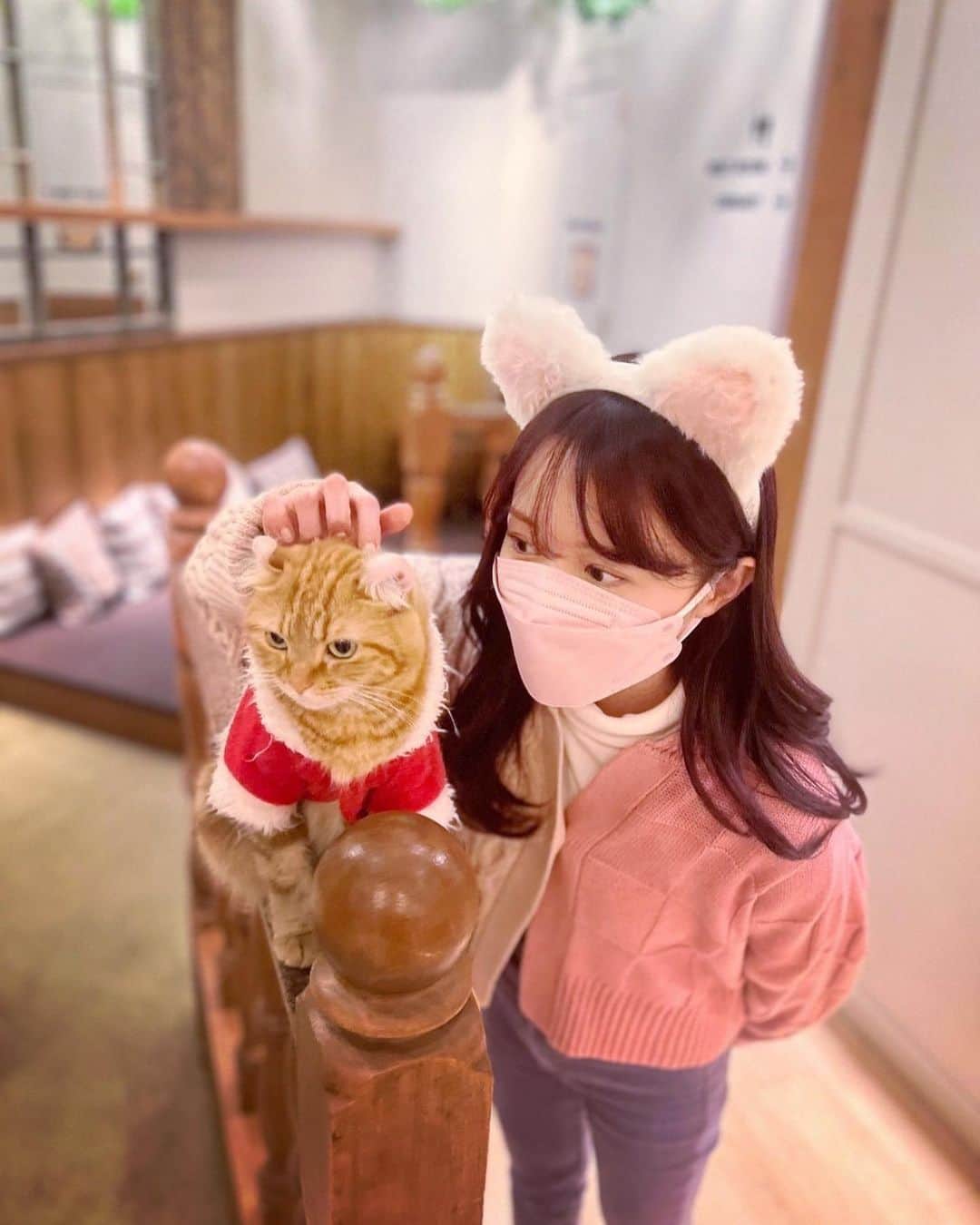 尾崎由香のインスタグラム：「幸せな空間🐈💕  #猫カフェ　 #mocha原宿店  #むぎこちゃん  #アメリカンカール #猫　#猫耳 #猫好きな人と繋がりたい #研音youtube」