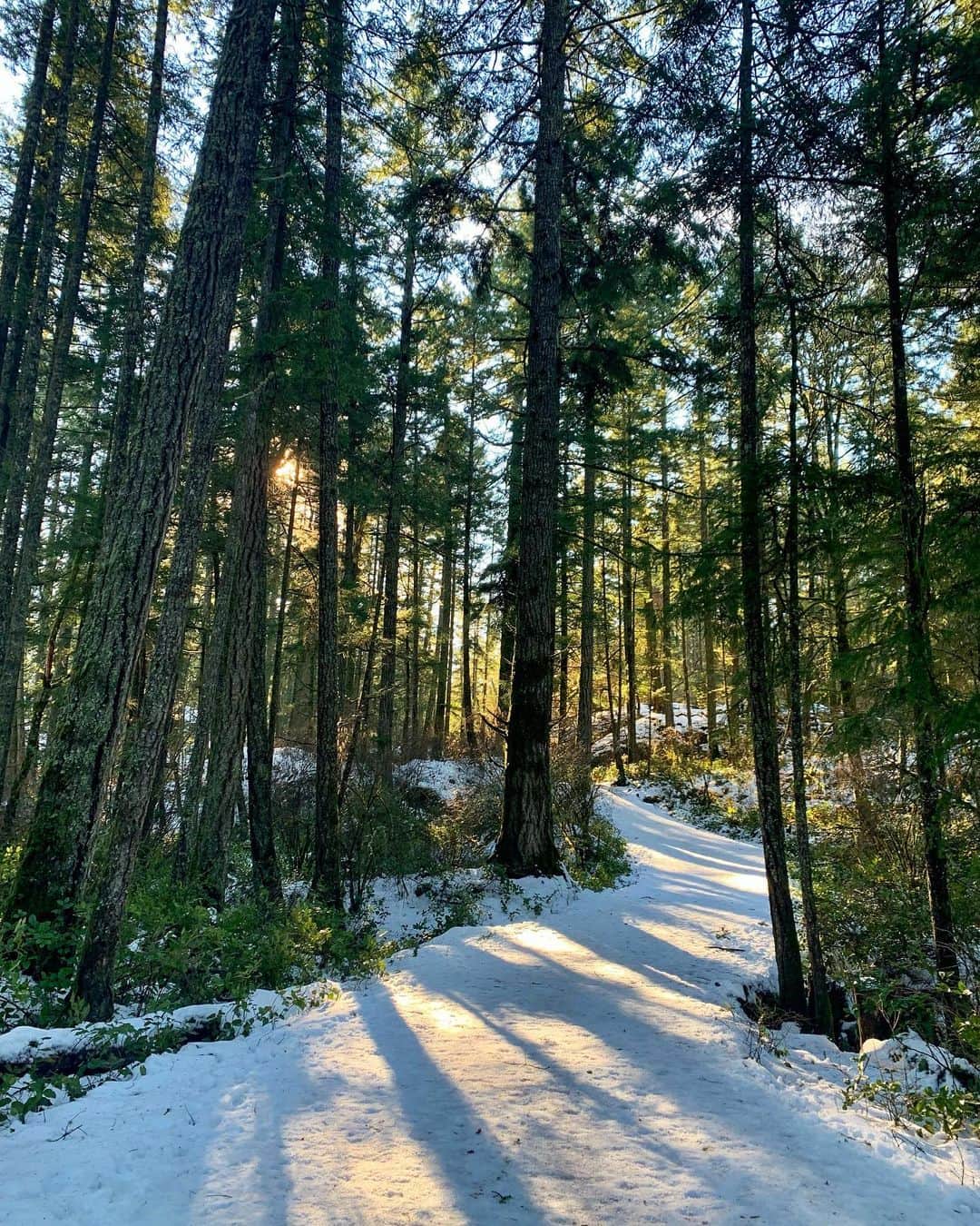 横井玲のインスタグラム：「Hold on! Hold on! The adult there! Don't step on ice!👮‍♀️ It was such a lovely snowy and icy scene, but thrilling traps everywhere🏂  まだ雪の残るトレイルはとても美しかったですが、坂道はともかく滑る。 へっぴり腰全開で頑張りました。 氷の上に乗れるかな…と童心にかえるも即失敗。 驚きすぎて声も出ない34歳。  #canada #victoria #thetislake #lake #snow #ice #frozen #icytrails #trail #hiking #beautiful #view #scene #beactive #adventure #naturelovers  #雪道 #氷 #ハイキング #童心にかえる #あえなく撃沈」