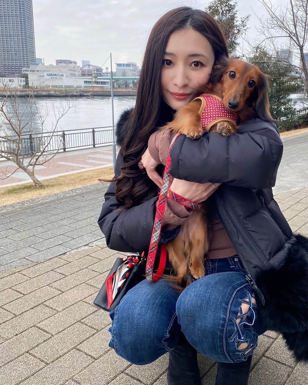 のインスタグラム：「わんちゃんと遊んできた！ カニンヘン・ダックスの男の子🐶  #可愛い #動物好き #ダックスフンド #ダックス #カニンヘンダックス #犬スタグラム」