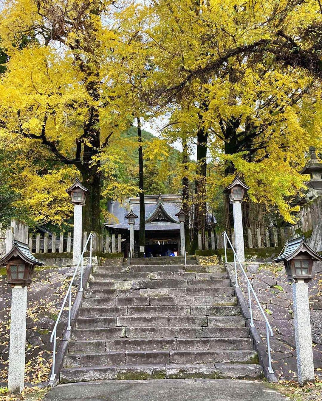 渕上彩夏さんのインスタグラム写真 - (渕上彩夏Instagram)「͙ ͙ おはようございます✨  先日山都町幣立神宮で新年のお参りをしてきました。  スピリチュアルな空気が漂うパワースポット🌿 自然に囲まれていて 深呼吸すると心がすーっと落ち着く感じ。  そんな幣立神宮もある上益城地域で特産品がもらえるキャンペーンが開催中です。 というお知らせ💭  上益城公式アカウント @kamimashikigram_kumamoto  をフォローしていただいて 御船・嘉島・益城・甲佐・山都町いずれかの風景や観光施設などを撮影。 #上益城へ行こう のハッシュタグをつけて投稿。  抽選でお茶やお米、加工品やお菓子など上益城5町の特産品がもらえるそうです。  私もさっそく参加してみました😊  上益城地域には他にも 水上に浮かんだような浮島神社(嘉島町・写真3枚目） 蒙古襲来絵詞がある甲佐神社(甲佐町・写真4枚目） など神社好きにはたまらない地域です。  新年は上益城地域へ行ってキャンペーンに参加してみませんか🤲🏻 詳しくは 「上益城ダヨ全員集合！オンライン観光物産展」へ https://kikaku-ari.com/kamimashiki/ 特産品購入キャンペーンもあるみたいなので是非✨  #上益城へ行こう #上益城ダヨ全員集合オンライン観光物産展 #熊本 #御船町 #嘉島町 #益城町 #甲佐町 #山都町 #上益城地域 #幣立神宮 #甲佐神社 #浮島神社 #神社巡り #パワースポット」1月11日 9時37分 - ayakafuchigami725