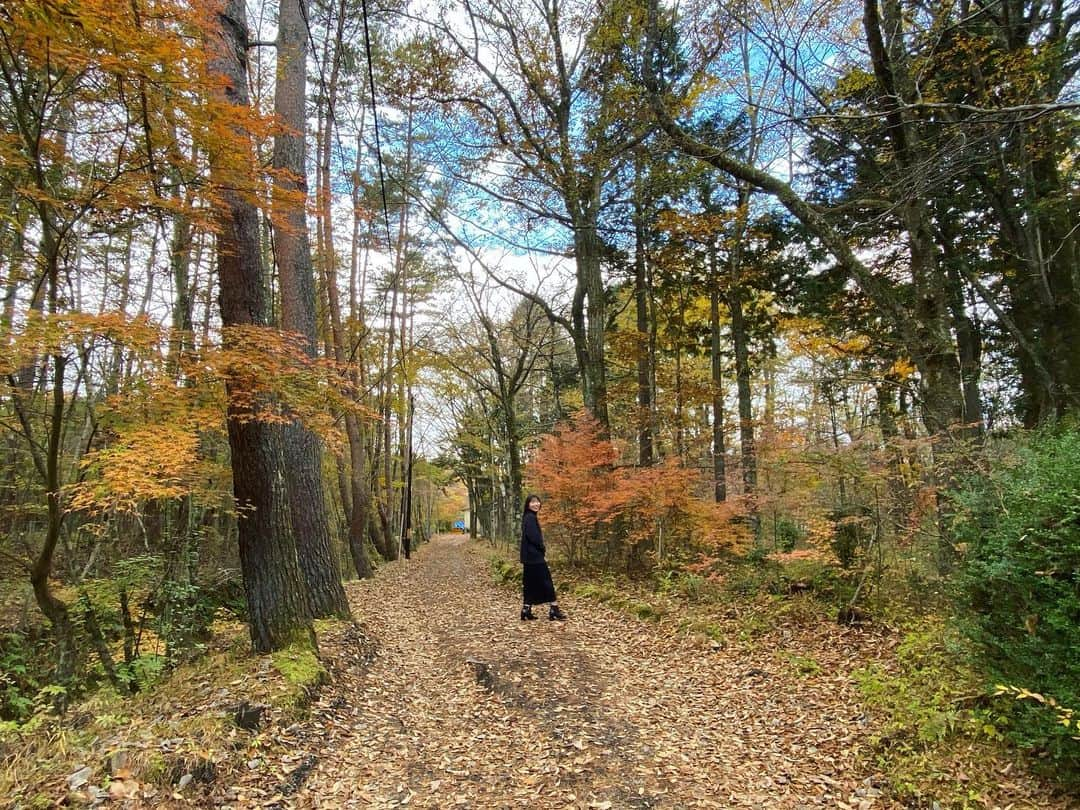 北山まいかのインスタグラム：「今更。いつのだろーな Autumn」