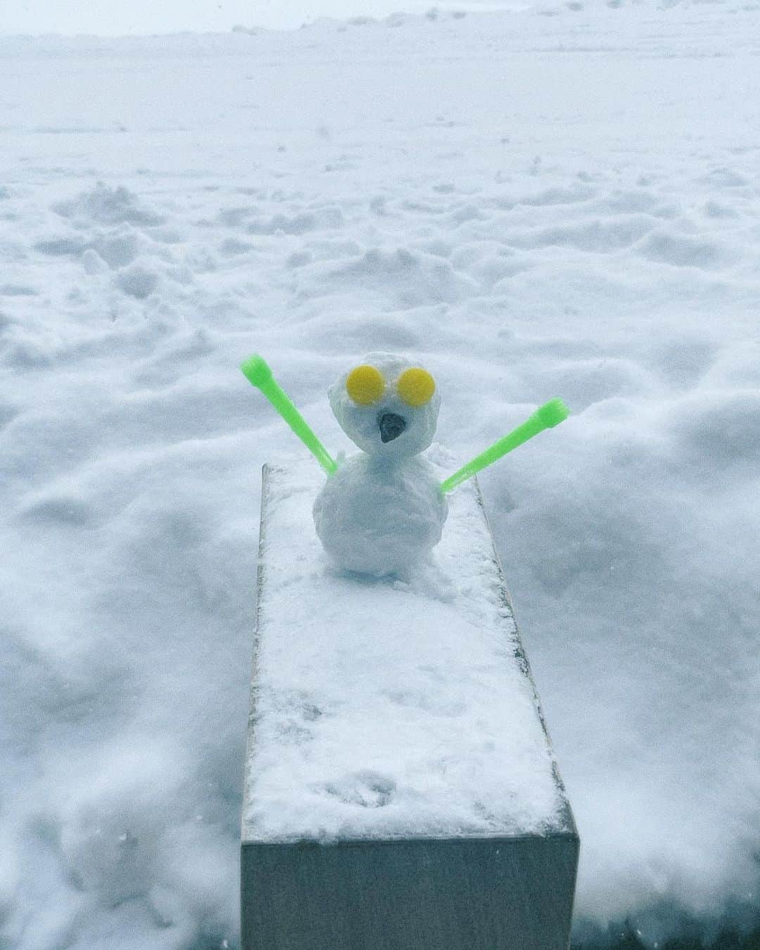 藤井夏恋さんのインスタグラム写真 - (藤井夏恋Instagram)「YUKIDARUMA  作: 夏恋  パウダースノーで雪だるまを作るのはコツがいります。 待ち受けにどうぞ。😂」1月11日 22時41分 - fujiikaren_official