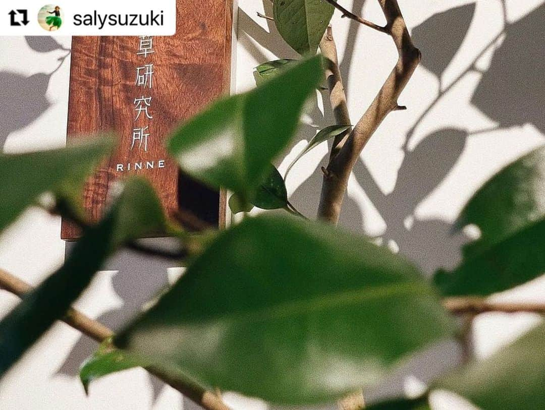 HARUKO（真木明子）さんのインスタグラム写真 - (HARUKO（真木明子）Instagram)「読むだけで受けたくなる❤️  #Repost @salysuzuki with @make_repost ・・・ 決めた未来に来た　2022/01/11 自然界✖︎技術 美しい村VISONに位置する奥ヴィソンのWellness Zoneから発信  「本草研究所RINNE」と「TEUZUSIKI」がお届けする最上級に癒しのウェルネスコラボプランが誕生。 Wellness=心身共に輝くように生き生きしている状態のこと。  「本草研究所RINNE」さんは、VISONのウェルネスステーションとなるオーガニックカフェを運営。ハーブをはじめ、食や環境、暮らしの安全や安心、無添加食品・有機農畜産物・天然生活雑貨など広い展開をしています。コンシェルジュのようにウェルネスの架け橋として絶大な信頼を寄せられています。  「TEUZUSIKI」とは、清らかな水を敷き詰めた宝石のように美しい場所の意味を持ちます。世界中のメソッドを駆使するスペイン マヨルカ島発 ビューティアーティスト 鈴木サリープロデュース。 気(いのち)を育む多気の空気、良質な水と神々の場で世界基準のウェルネスメニューが揃うサロン。  世界中の人々に提供してきたアスリート系テクニックは、力強い独特な技術でクリエイトされたボディトリートメントは代表的なメソッドの柱。骨や筋肉に張り付いたような窮屈感を自由にさせ、隅々から輝いていく爽快さを身体、心、スピリットにも働きかける感情までも浄化する美容と呼ばれています。  「TEUZUSIKI」と「本草研究所RINNE」がvison内にあるからこそ実現したコラボレーション。TEUZUSIKIで心身共に癒された後、本草研究所RINNEの開放的なカフェ空間で身体にいいスイーツプレートを召し上がっていただける幸せが詰まったがプランとなっています。  TEUZUSIKI✖️ 本草研究所RINNE  @teuzusiki_wellness_vison  @yakusou.rinne_vison   Wellness “Self Love” JANUARY Element ; 風 Detox Purification Clear   ▪️手水敷TEUZUSIKI Wellness Signature Treatment  1.エメラルドジェムを使用したヘッドマッサージ 30分　 2.エメラルドジェムを使用したヘッド＋TEUZUSIKI ボディ 80分 ▪️本草研究所RINNEウェルネス プレート  (ハーブティ/酵素ドリンク/ヴィーガンスウィーツ）  価格（税込）：1のコース　30分施術　  5,500円 　　　　　　　2のコース　80分施術　11,000円    2022/1月12日からスタート。 平日限定。事前予約が必要です。  ■電話(電話番号:0598-67-7747) ■メール(info-vison@teuzusiki.jp) ■HP(https://teuzusiki.jp/  #wellness #teuzusiki #vison #rinne #三重 #多気　＃ヴィソン」1月11日 18時00分 - haruko227