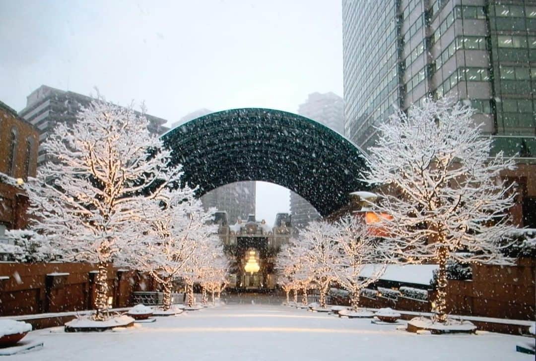 菜乃花のインスタグラム：「☃️  雪わくわくしたな〜。 1人でにやにやしながら雪に足跡つけて遊んじゃうよな〜。  見慣れた街が違って見えて雪化粧はとても綺麗でした✨」