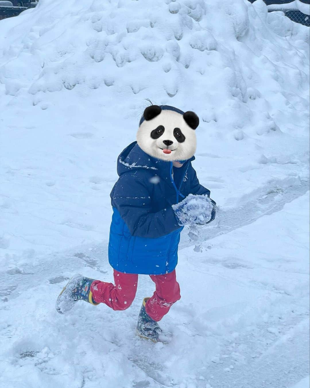 松田リエさんのインスタグラム写真 - (松田リエInstagram)「息子に雪を見せたくて・・・in飛騨高山。束の間でしたが、喜んでくれたので何より😌✨翌日は、車を発車させるために、雪かきから始まる１日を初めて体験。  お正月は、ひたすら冬眠モードでしたが（旦那さんには、しろくま扱いされてましたｗｗ）、、、今週に入り、徐々に通常モードに💓  今日も朝の４時から、メイクして、YouTube撮影の準備に勤しんでおりました。１日よく頑張りました♪今週もTV収録があったり、バタバタの１週間ですが、土日に作った作り置きで、元気に乗り切っていきます♪  作り置きシリーズは、サブちゃんのshortsでも、1分動画で公開しているので、ぜひ見てみてねっ🤗１分動画で公開できるほど、簡単メニューばかりです✨楽して美味しく、お正月太りも解消解消！  ..*⑅︎୨୧┈︎┈︎┈︎┈︎┈︎┈︎┈┈︎┈︎┈︎┈︎┈︎୨୧⑅︎* . 　  YouTubeは　@matsuda_rie8 のプロフィール欄、または、ストーリーからチェックできます♪ダイエットの投稿は、@bls.academy　のインスタアカウントから毎日更新中✨ 　  #飛騨高山 #白糸の滝 #6歳 #日記 #家族の時間 #飛騨高山食べ歩き #飛騨高山旅行 #お正月太り」1月11日 19時44分 - matsuda_rie8