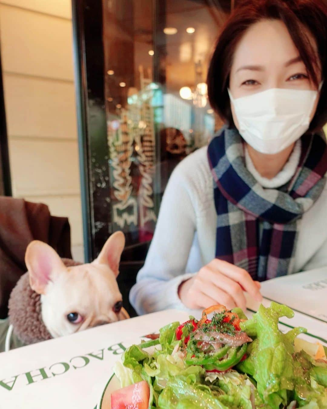 川原亜矢子さんのインスタグラム写真 - (川原亜矢子Instagram)「Doesn’t she like walky time in WINTER ? #walk #dog #french bulldog #puppy #散歩 #犬 #冬#フレンチブルドッグ #フレブル」1月11日 20時32分 - ayakokawahara