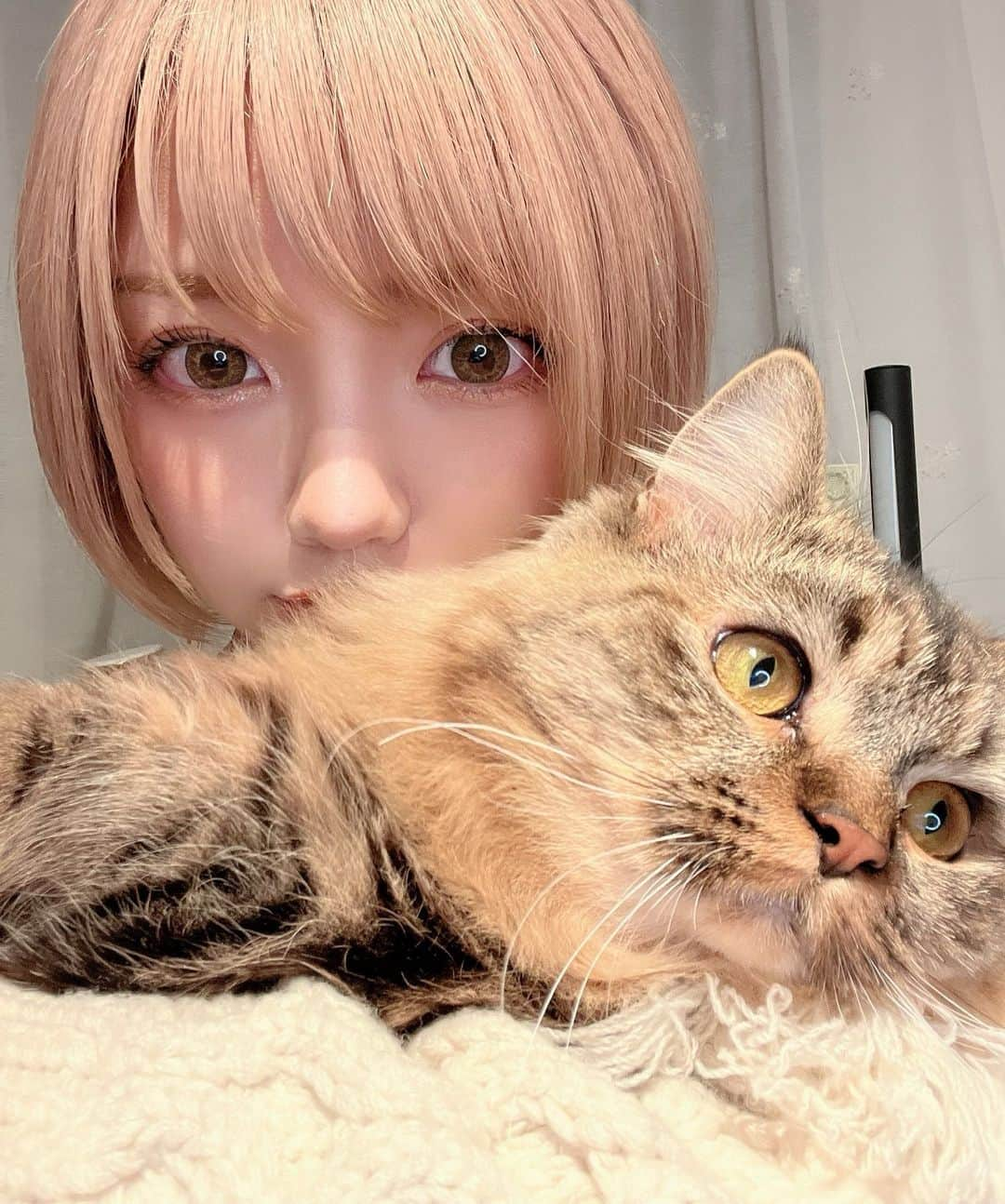 みきでりさんのインスタグラム写真 - (みきでりInstagram)「ショートになったよ😽💛💛 ㅤ  ㅤ ㅤ #ショート#ショートヘア#ショートカット#ショートボブ#ショート女子#ショートヘアー#ハイトーン#ハイトーン女子#ハイトーンボブ#ハイトーンショート#ハイトーンカラー#金髪#金髪ショート#ブリーチ#丸みショート#切りっぱなしボブ#ニット#白ニット」1月11日 20時35分 - mikidelicious