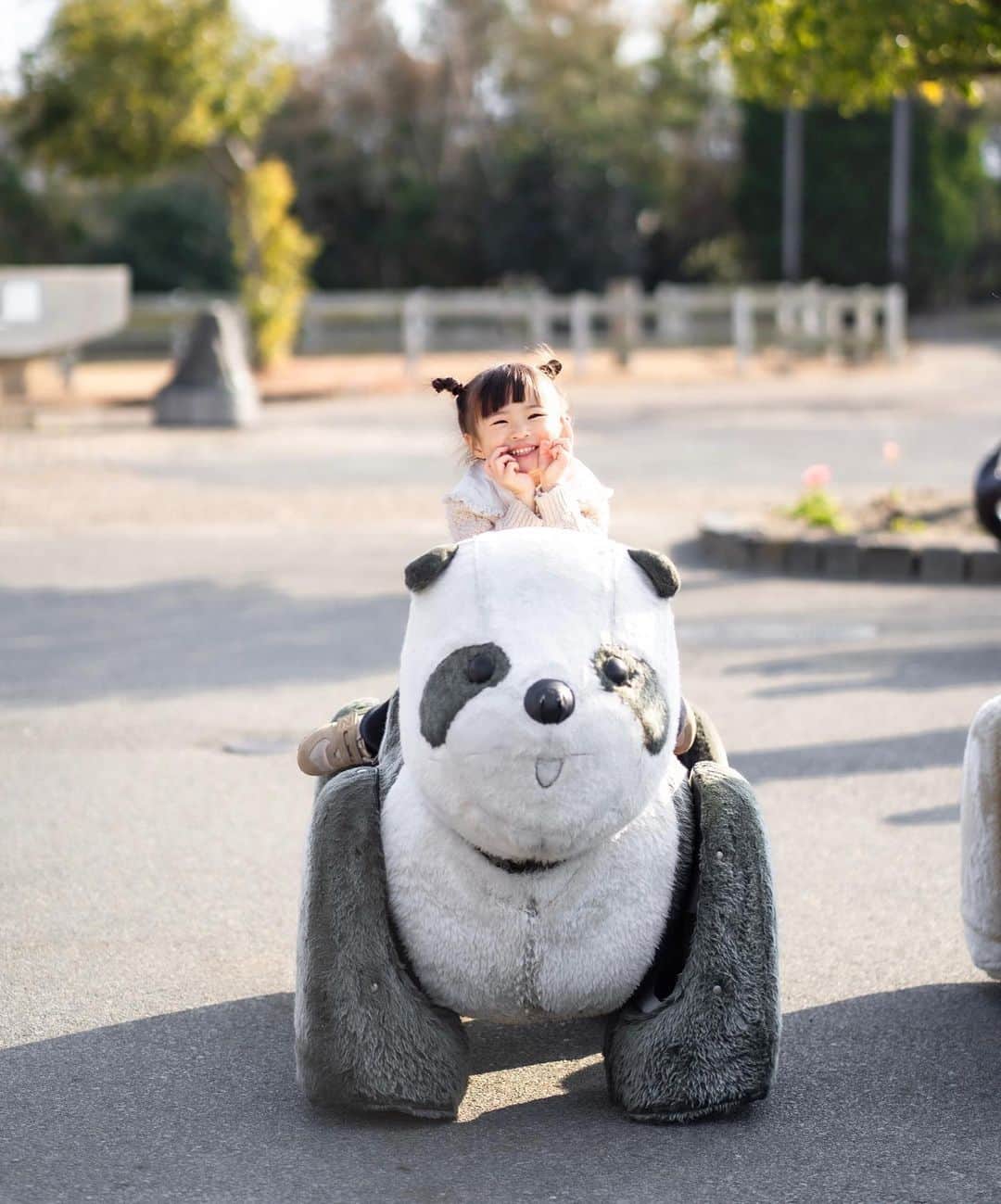 のインスタグラム：「次女のサイズ感♡  1年以上前もサイズ感がかわいいなぁって言ってたけど今も変わらずらぶです😂♡  この動物の乗り物、私も小さい頃大好きで乗っている写真が何枚もあったなぁ。懐かしい。  長女の、2枚目の顔とポーズなんなんでしょう🤣 あー好き。笑 バイキンマンに乗ってる次女がたまたまバイキンマンヘアーみたいになってるのも好き。  さぁ長女は今日から通常授業 つい最近入学式だったのにあっという間だな。 #姉妹#4歳差姉妹#ママカメラ#α7iii#sonya7iii」