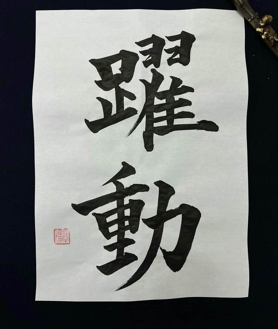  りさぶーのインスタグラム：「ほんまは美尻って書こうとした。笑 . #書き初め」
