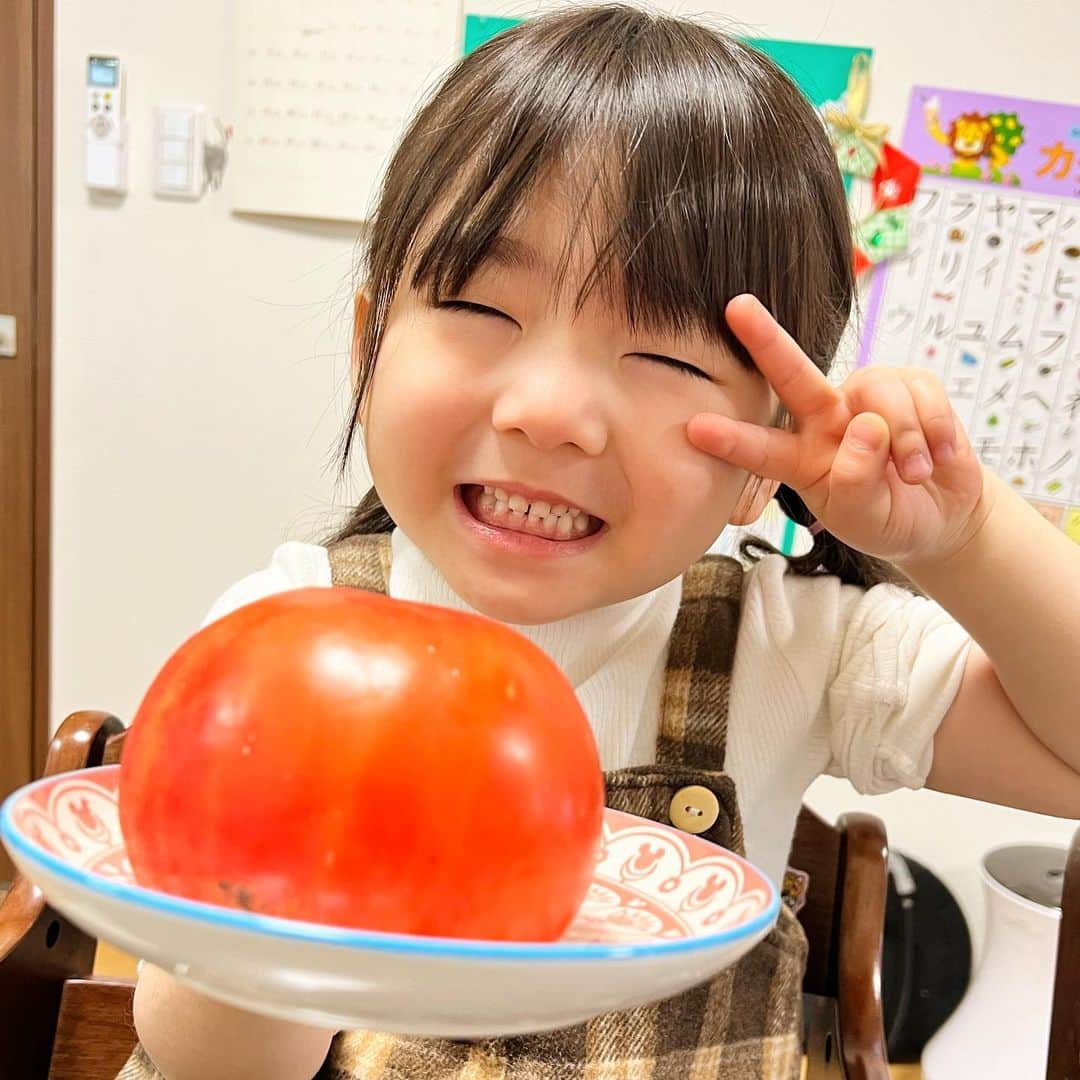 のインスタグラム：「. . . トマトでっかー😂！！！ トマト大好きマンひなたに でっかいトマトをプレゼント🎁笑. . . .」