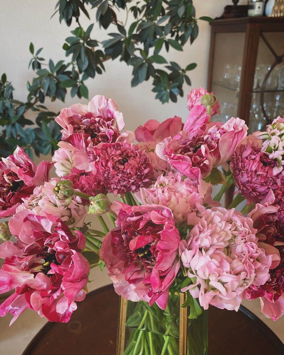 畑野ひろ子のインスタグラム：「市場は、春の花がいっぱい。 毎年、この時期になると必ず仕入れるシャルロット🥰」