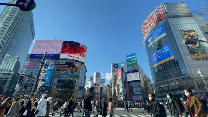前田健太のインスタグラム：「🇯🇵🗼 SHIBUYA.  渋谷のスクランブル交差点。  たまたまベストポジションに 止まったので撮りました😅  完全に観光客。  #japan  #shibuya  #日本 #渋谷　 #スクランブル交差点」