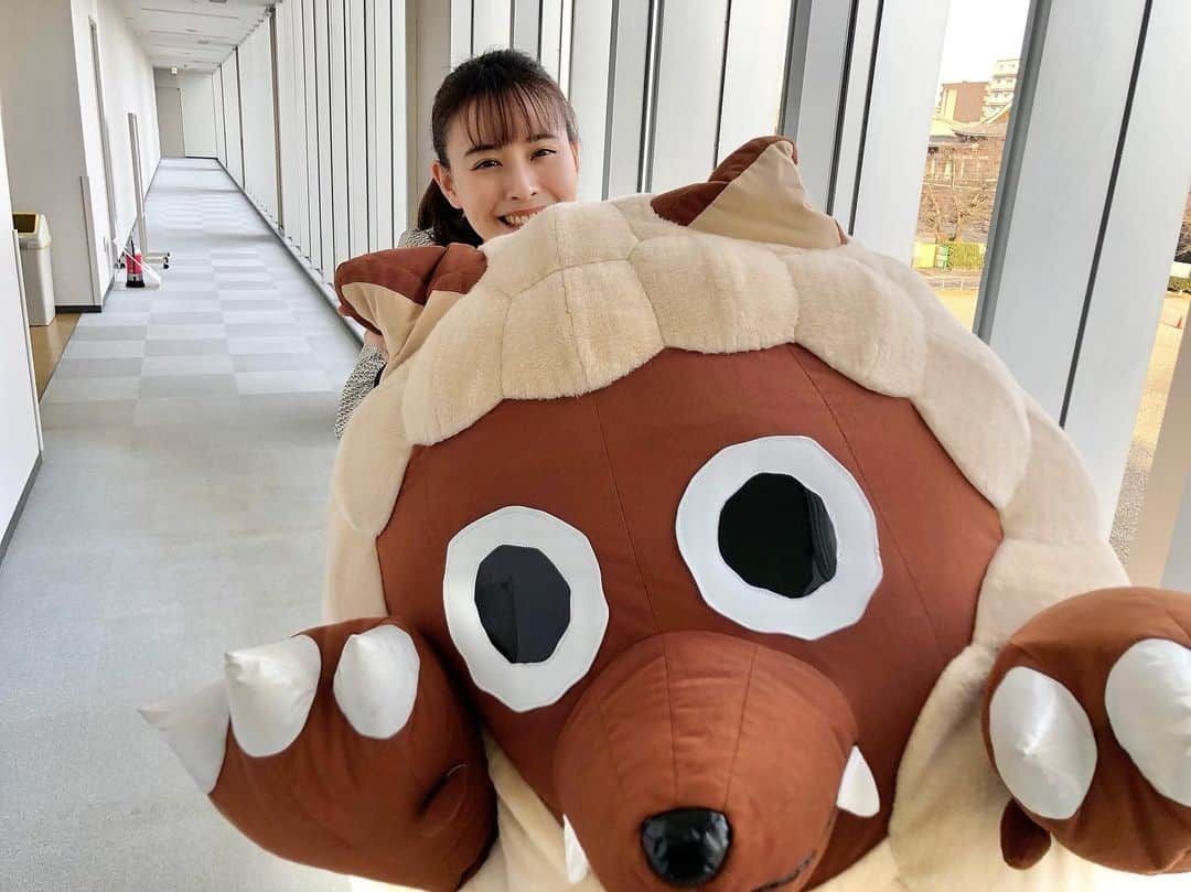 望木聡子さんのインスタグラム写真 - (望木聡子Instagram)「#ドデスカ 金曜６時台の‬「どうぶつZOO鑑」‬ ‪今週の主役はこの動物🎀  写真をヒントに何の動物か当ててくださいね。 耳が小さい猫なの🐱 (ウルフィの耳を押さえさせてもらっています)  昨年この子を動物園で見て名前を覚えたばかりなので ZOO鑑登場が嬉しいです！  #大喜利じゃないよ #振りじゃないよ #メーテレ #ウルフィ #アナウンサー #望木聡子」1月12日 21時01分 - satoko_mochiki