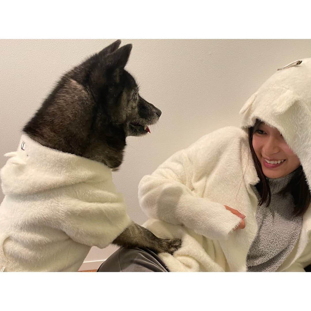芳根京子さんのインスタグラム写真 - (芳根京子Instagram)「うさまるのおそろい写真 まだありました。 襲われている。笑  #ロペピクニック」1月12日 21時24分 - yoshinekyoko