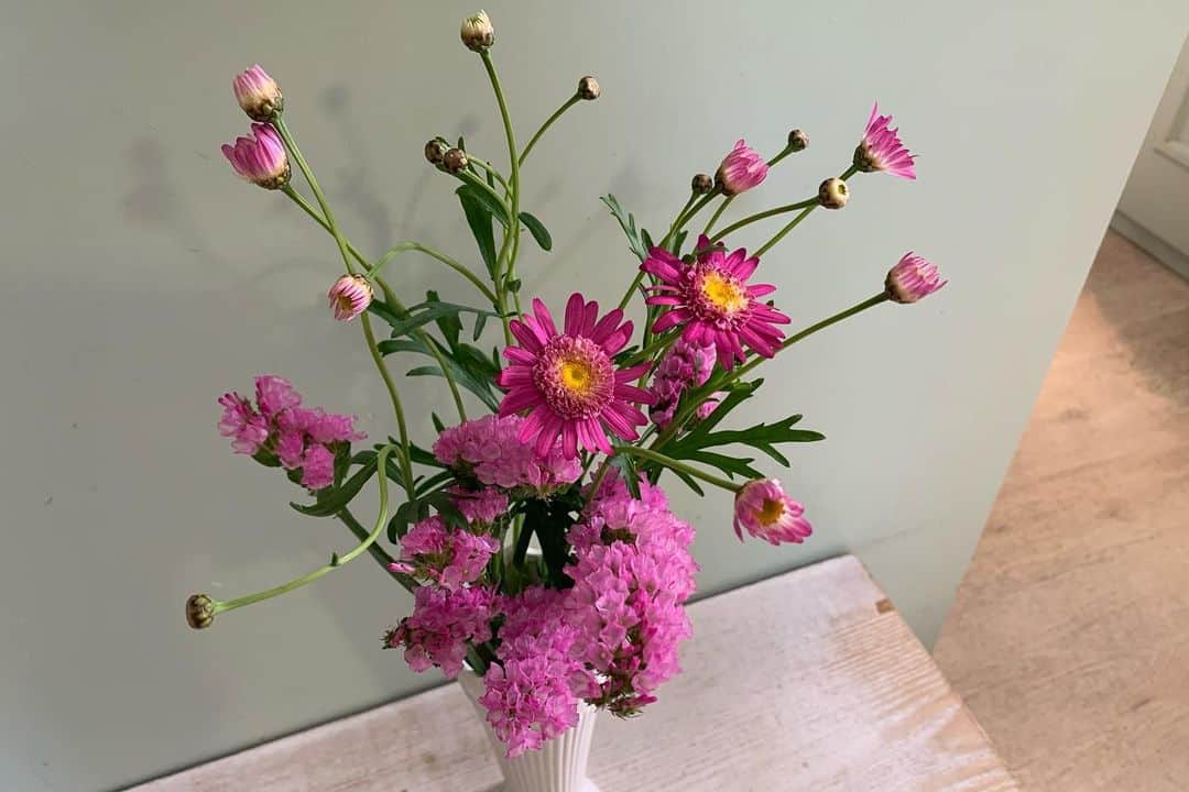 澤田愛美さんのインスタグラム写真 - (澤田愛美Instagram)「. スーパーJチャンネルABA 毎週水曜日は「きょうの花日記」🌸  今回はリモニュームスターチス✍️ 花のように見える色がついた部分がガクで その中に小さな白や黄色の花が咲きます。 生花でも1ヶ月近く飾れるほどの花持ちで そのままの状態でドライフラワーにもできます😳 手に持っているのはドライにしたスワッグです☺️  色が豊富で、新しい品種が次々と開発されているそう✨ 幅広い色合いを存分に楽しみたいですね🕊 　  #花のある暮らし」1月12日 21時36分 - amy____oxox