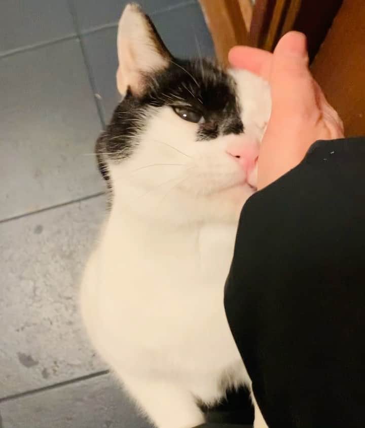 OKAのインスタグラム：「おかえりー」