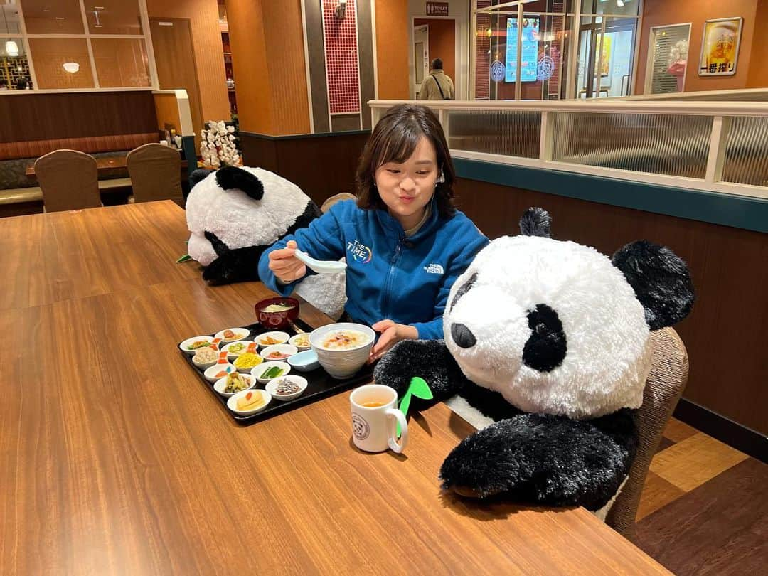 篠原梨菜さんのインスタグラム写真 - (篠原梨菜Instagram)「パンダ🐼と心もお腹も満たされる中華を🥟  #朝5時の美味time 今朝は東京・浅草の ファミリー中華レストラン　パンダに！🐼 先月オープンの中華料理店です！  ソーシャルディスタンス確保のために置き始めたパンダが話題に🐼リアルな可愛さ🐼(パンダの後ろ姿が好きなんですが忠実に再現されていました)  人気メニューは15品の朝食御膳です。 美容などに良いクコの実やなつめなど5種の薬膳が入ったおかゆと、点心やお漬物など...たくさん！ 翡翠海老餃子やシュウマイなど、優しいおかゆをすくうれんげがどんどん進む味付けでした！ 美味しいだけじゃなく、身体にも良さそうな朝ごはん！  こちらのパンダにも会いに来てみては？  #thetime_tbs #パンダ #ファミリー中華レストランパンダ  #浅草  #浅草グルメ  #中華料理 #朝ごはん #薬膳 #tbs #tbsアナウンサー  #篠原梨菜」1月12日 22時57分 - shinorinatbs