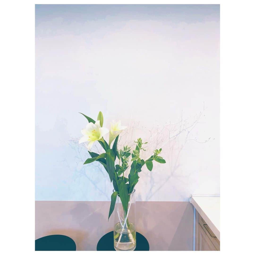 大塚愛さんのインスタグラム写真 - (大塚愛Instagram)「蕾が開いていく喜び。  AIO　#おうち時間 #花」1月13日 12時14分 - aiotsuka_official