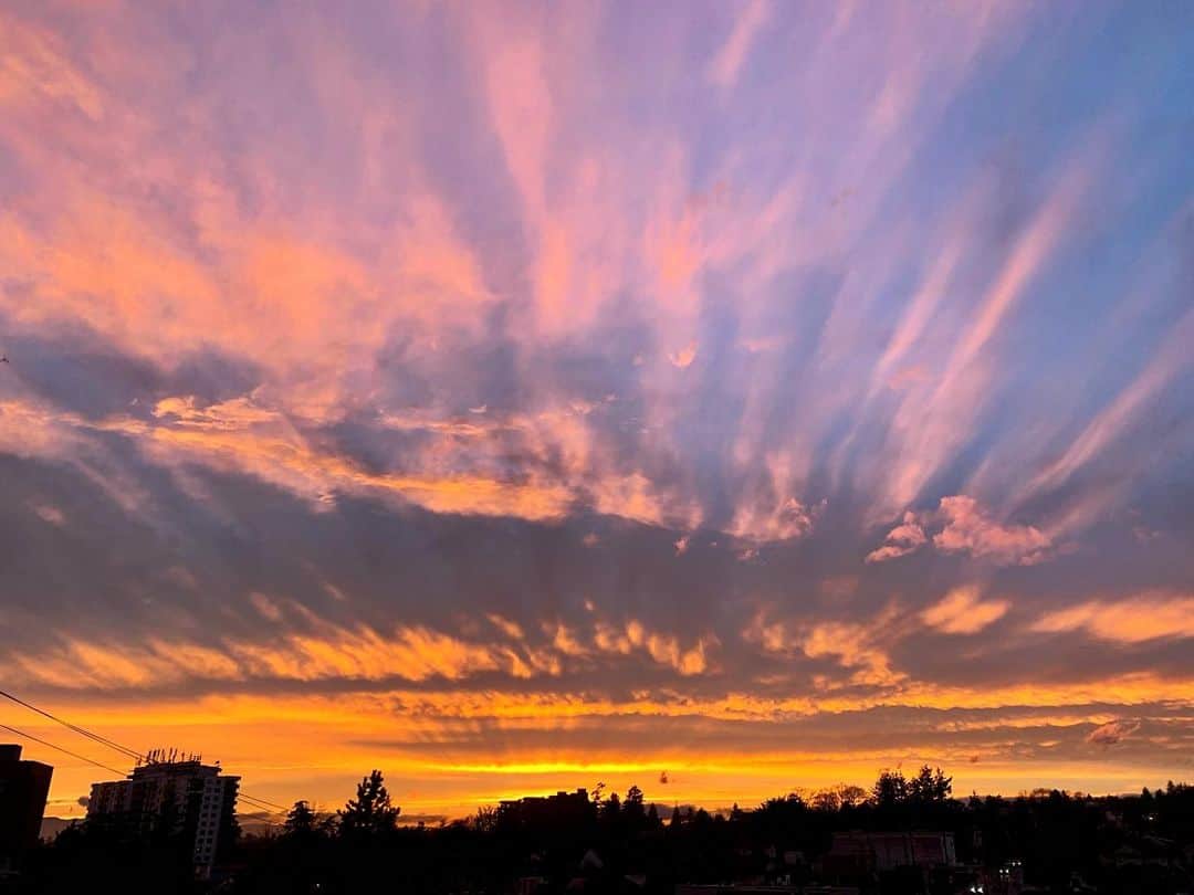 横井玲のインスタグラム：「Tomorrow will be better. Why not🐈‍⬛  #sky #skyporn #skylovers #sunset #goldenhour #cloudporn #cloudlovers #view #scene #beautifulsky #colorfulworld #naturelovers  #空 #夕焼け #雲 #雨上がり #明日は晴れるかな」