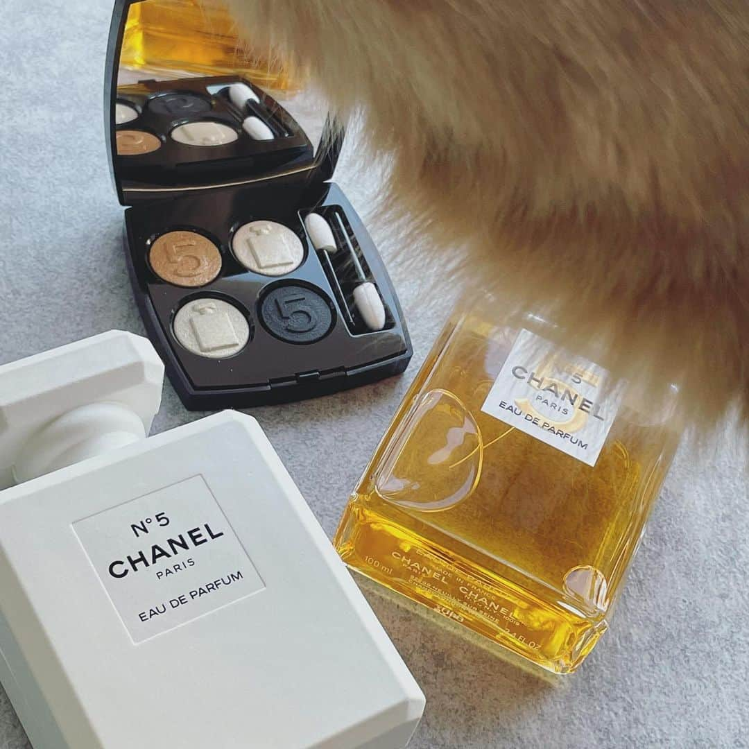 木下ひなこさんのインスタグラム写真 - (木下ひなこInstagram)「🤎 . . CHANEL N°5の 香水とアイシャドウを ファンの方にいただきました🥰🙌 気になっていたのでとっても嬉しい🥳キナコも興味津々でした!!!笑 . . 新年早々風邪をひいて寝込んでいたので これを使ってメイクするのが楽しみです❤️ 2枚目は自撮りできてなすぎて 少し前の動画です😵‍💫🙏🏻 ノーメイクに赤リップ+黒ぶちメガネで良い感じにまとまった時の🥸 ((SNSの更新があいてしまってごめんなさい😢)) . . #chanel #chanelmakeup#chanelbeauty#perfume#シャネル#香水#アイシャドウ#イエベ春#イエベ#猫#保護猫」1月13日 21時52分 - hinako_0525