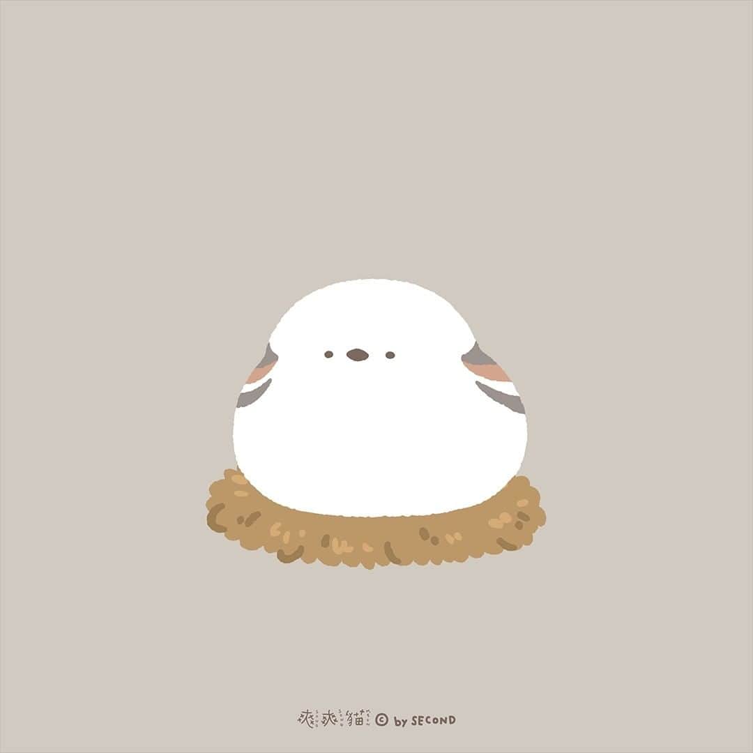爽爽貓 by SECONDのインスタグラム：「想當你的暖暖貓  #好冷 #記得保暖 #多穿一點   #爽爽貓 #ソウソウネコ #そうそうねこ #SONGSONGMEOW #bySECOND #wuchengan #鳥鳥 #小鳥」
