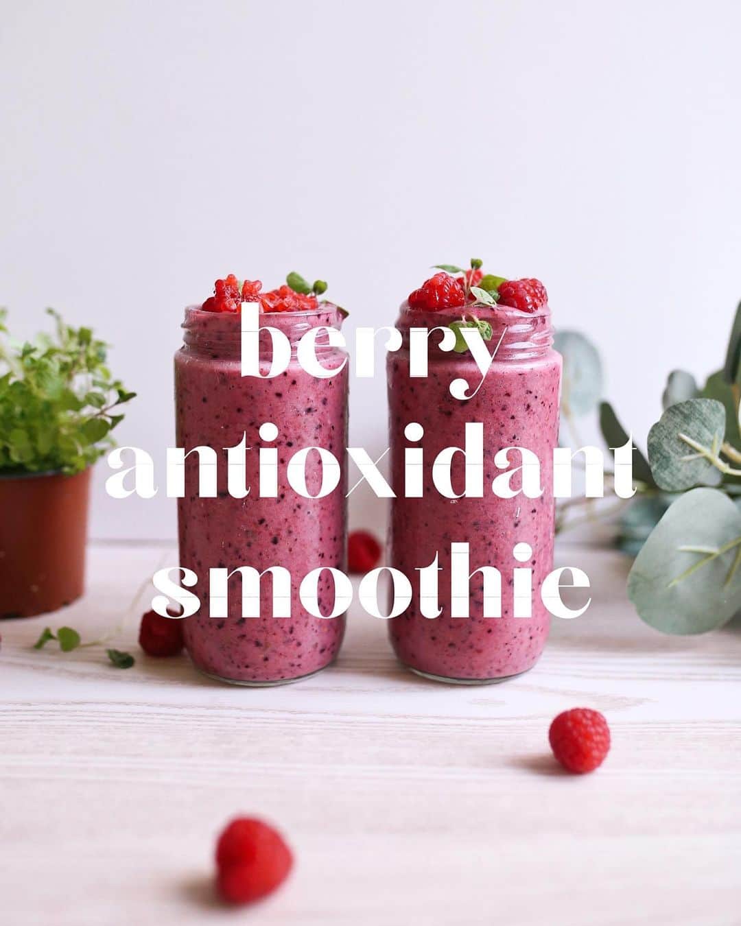 Amanda Biskさんのインスタグラム写真 - (Amanda BiskInstagram)「BERRY ANTIOXIDANT SMOOTHIE 🍓🫐 Quick, simple and plenary of nutrients on the run! Boost your antioxidants and help your body:  👊🏼 fight free radicals (that damage our cells)  ⬇️ reduce oxidative stress (which can cause disease like cancer, diabetes, autoimmune disease, memory loss & age related illness)  🧠 improve mental health & function  👵🏼 support healthy ageing (protecting our DNA, skin, vision, mental health, immunity)  This recipe is FREE on the #freshbodyfitmind app along with many more delicious plant based meals and snack created by our amazing recipe designer @annielonglife 🙌🏼 #veganrecipes #plantbasedrecipes #freerecipes  ab♥️x  🍴Try the FREE recipe library!🍴  www.freshbofyfitmind.com   APPLE | ANDROID | WEB」1月13日 14時01分 - amandabisk