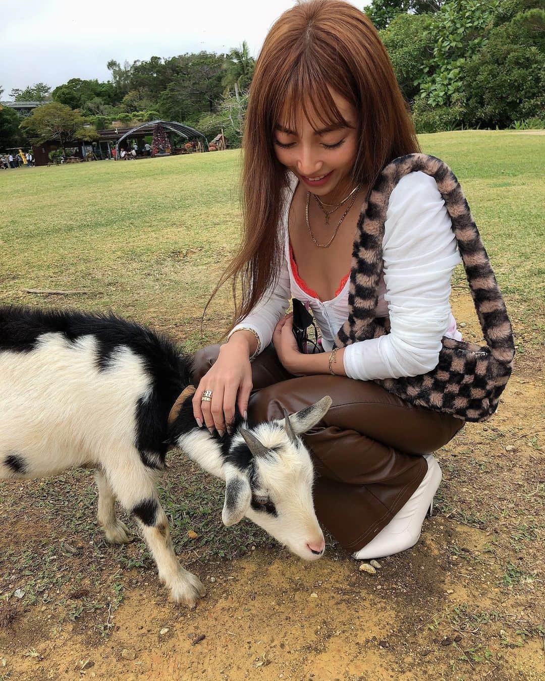 細井宏美さんのインスタグラム写真 - (細井宏美Instagram)「Goat Baby🖤🐄🤍🖤 子ヤギちゃん癒やしをありがとう！  #幸せ#🥺#ビオスの丘#cutebaby」1月13日 14時48分 - romihi_romihi