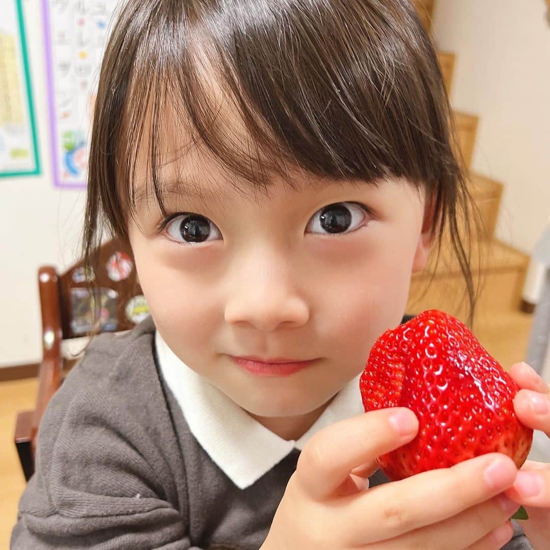 のインスタグラム：「. . . きっれ〜いなイチゴだねぇ😚💗💗. . . 今年こそ！！！ いちご狩り！！！ 行きたい！！！. . . .」
