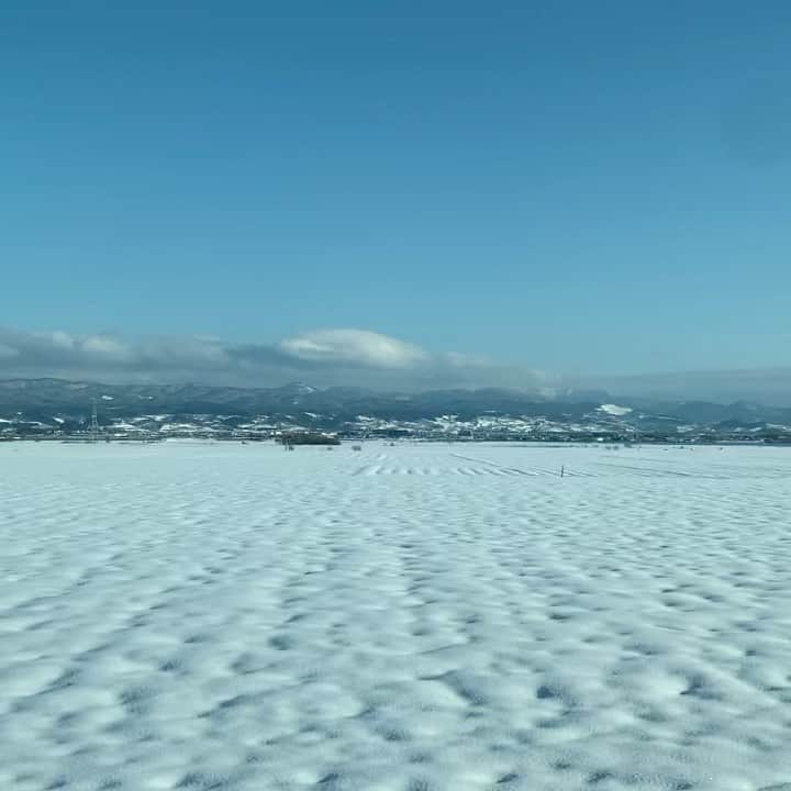 小林エリカのインスタグラム：「弘前 @hirosaki_moca からの帰り道❄️ 雪の青森」