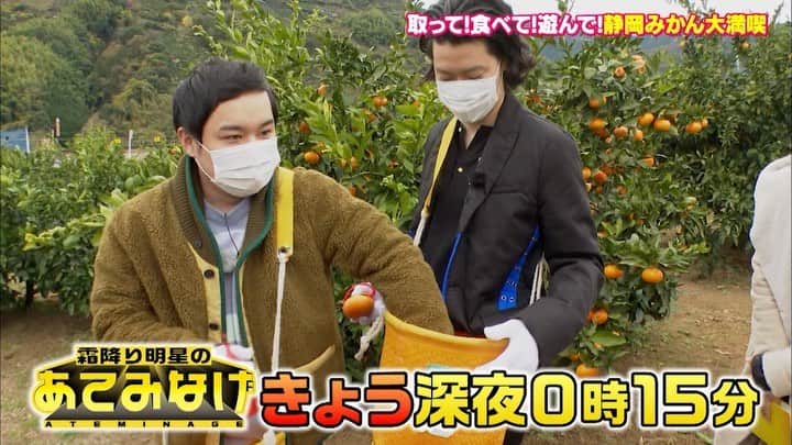 のインスタグラム：「静岡みかんを大満喫！🍊 きょう深夜0:15放送⭐️  霜降り明星がみかんの収穫を初体験！みかんの皮むき選手権&ピールアートにも挑戦！🍊  ↓前回の放送は #TVer から📺 buff.ly/3iXAURz  #霜降り明星のあてみなげ  #霜降り明星 #粗品 #せいや」