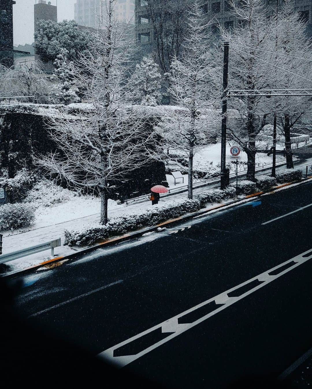 Kaiさんのインスタグラム写真 - (KaiInstagram)「First snow of 2022 in Tokyo.  . . . . . . #discovertokyo #exploretokyo #tokyogram #tokyotravel #tokyotokyo #tokyostreets #igerstokyo #reco_ig #weekly_feature #lightroom #streetclassics #ourstreets #streets_vision #fujifilm #passionpassport #beautifuldestinations #wonderful_places #hbweekends #hbouthere #iamatraveler #lonelyplanet #voyaged #bestplacestogo #roamtheplanet #ourplanetdaily #初雪 #Tokyo #Japan #tokyocameraclub」1月13日 22時54分 - kaitaro.k