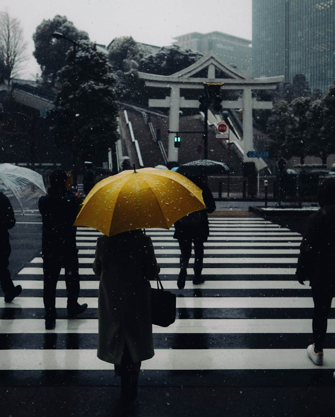 Kaiさんのインスタグラム写真 - (KaiInstagram)「First snow of 2022 in Tokyo.  . . . . . . #discovertokyo #exploretokyo #tokyogram #tokyotravel #tokyotokyo #tokyostreets #igerstokyo #reco_ig #weekly_feature #lightroom #streetclassics #ourstreets #streets_vision #fujifilm #passionpassport #beautifuldestinations #wonderful_places #hbweekends #hbouthere #iamatraveler #lonelyplanet #voyaged #bestplacestogo #roamtheplanet #ourplanetdaily #初雪 #Tokyo #Japan #tokyocameraclub」1月13日 22時54分 - kaitaro.k