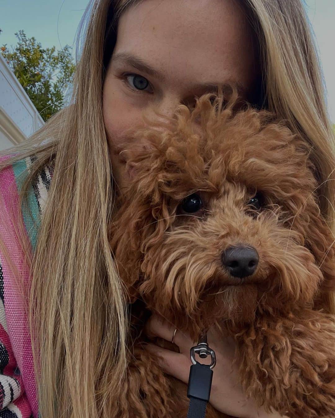 バー・ラファエリのインスタグラム：「You know the saying .. 🐶 #Bamba」