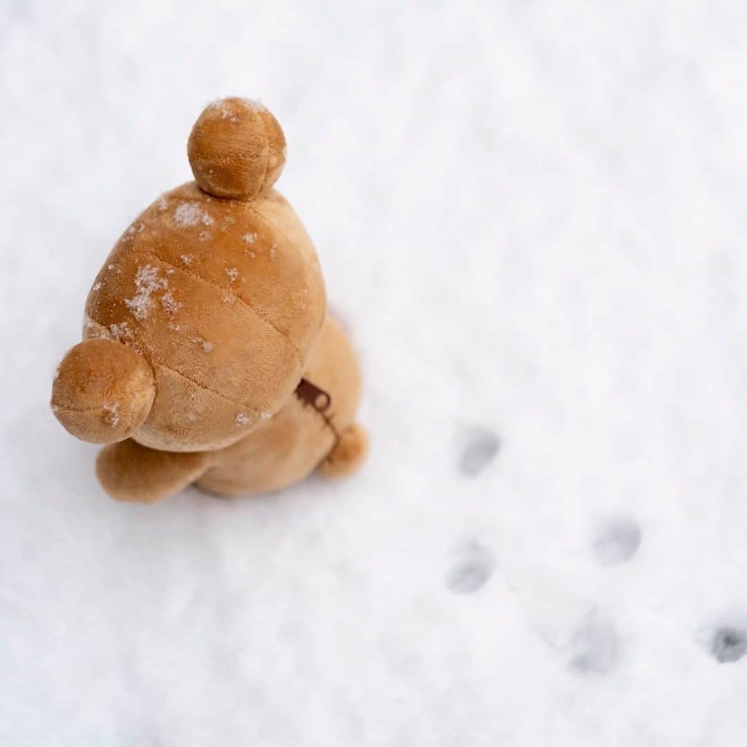 ☆期間限定リラックマ公式Instagram☆さんのインスタグラム写真 - (☆期間限定リラックマ公式Instagram☆Instagram)「【リラックマがいる暮らし＃57】 今日は雪が降りました☃️ ふんわり積もった雪に1番に足跡つけるのって、なんだか贅沢な気分。   #リラックマがいる暮らし #リラックマ #雪 #rilakkuma #拉拉熊 #🐻 #☃️ #⛄️」1月14日 17時00分 - rilakkuma_sanx_official