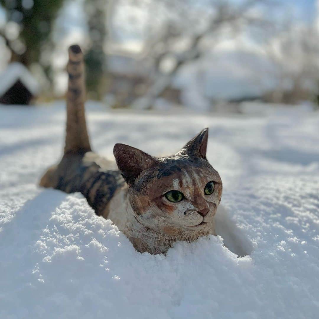 はしもとみおさんのインスタグラム写真 - (はしもとみおInstagram)「雪とチミちゃん  #チミトン#ポチ実 #snow#wood #woodworking #woodcarving #cat #snowcats」1月14日 15時08分 - hashimotomio