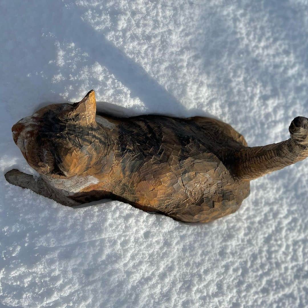 はしもとみおさんのインスタグラム写真 - (はしもとみおInstagram)「雪とチミちゃん  #チミトン#ポチ実 #snow#wood #woodworking #woodcarving #cat #snowcats」1月14日 15時08分 - hashimotomio