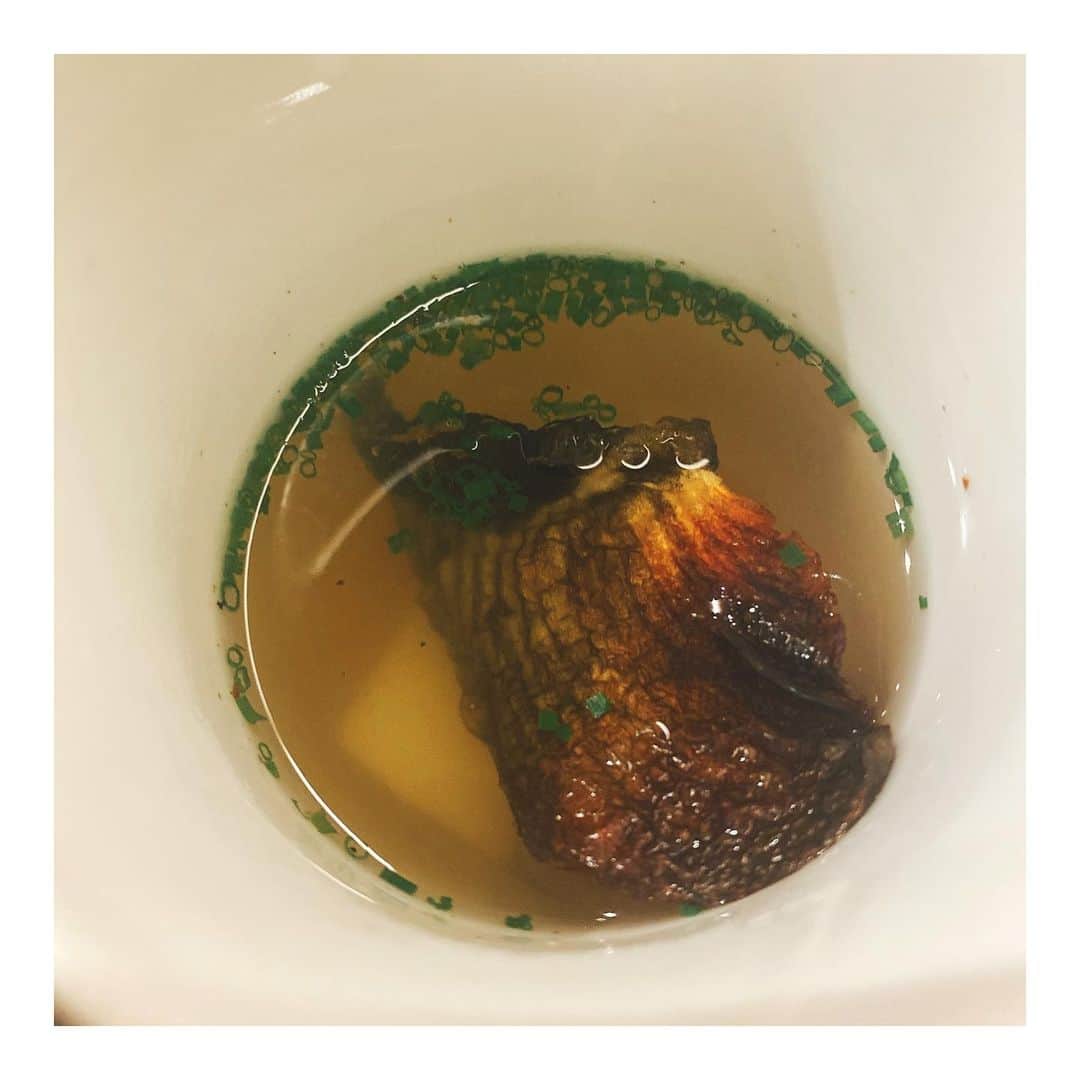鈴木紗理奈さんのインスタグラム写真 - (鈴木紗理奈Instagram)「ヒレ酒、ではなく ヒレスープ。  とんでもなく美味しい‼︎‼︎‼︎ ヒレ酒が大好きすぎるけど 日本酒は糖質が高いからたまにの楽しみにしてたけど、 ヒレスープなら気にせずいける❤️  出汁に更にヒレの出汁で深みありすぎ。」1月14日 18時23分 - munehirovoice