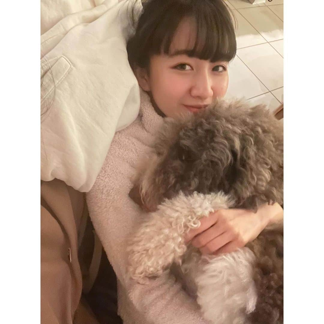 木村心美さんのインスタグラム写真 - (木村心美Instagram)「今日は楽器を修理に出しているので練習は早めに切り上げてエトｸﾝとまったりしていました。 ・  #本日のおﾁｬの時間 はお抹茶でした。おいちー。」1月14日 21時20分 - cocomi_553_official