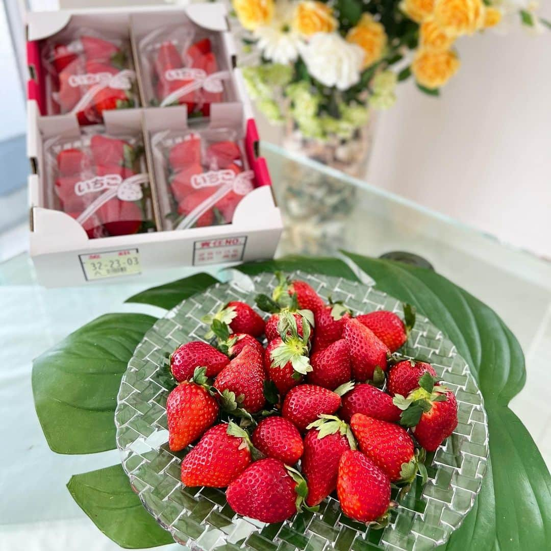 麻美さんのインスタグラム写真 - (麻美Instagram)「突然届いた苺🍓🍓🍓 ． 先日の北海道のお土産 💓白い恋人💓のお礼に ． こんなにも沢山の苺🍓届きました🙏 ． 申し訳ないけど 嬉しくて😆😆😆 ． なんだかめちゃくちゃ テンション上がってしまった🙌 ． 本当にありがとうございます🙏 ． @royal.ryu.ren.mamahappy  . 家中🍓苺の香に包まれて🍓🍓🍓 ． 苺ってこんなに美味しい香なんだーと つくづく思う🍓 ． 甘くて美味しくて🍓 止まらない😆 ． ご馳走様でした🙏 ． #ありがとうございます #美味しい #苺」1月15日 0時22分 - mami0s