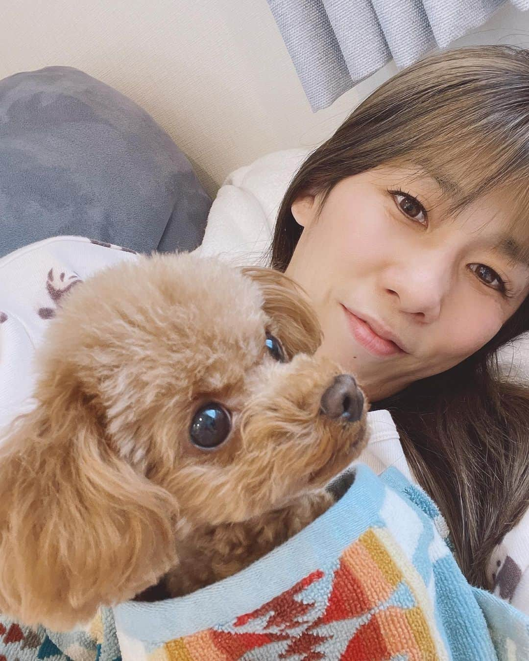 吉田沙保里さんのインスタグラム写真 - (吉田沙保里Instagram)「癒しタイム〜🐶💓 LOVE❤️❤️❤️  #リリー #トイプードル #女の子」1月15日 11時27分 - saori___yoshida