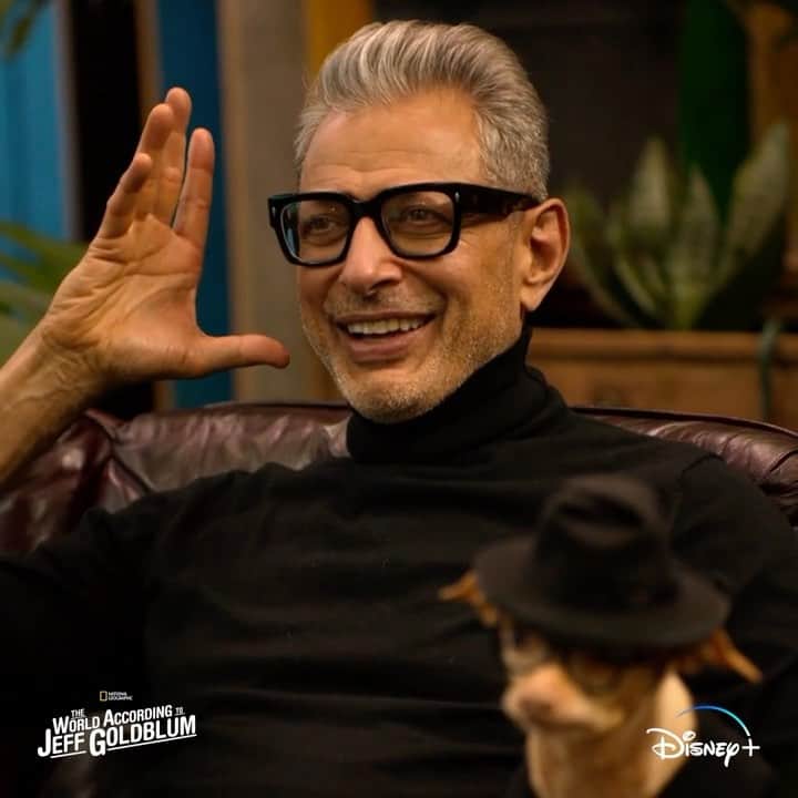 Tuna {breed:chiweenie} のインスタグラム：「Although Tuna and @jeffgoldblum didn’t get off on the right paw/foot, they ended up falling for each other in the end. You can watch their friendship blossom in the first episode (Dogs) of the second season of #TheWorldAccordingToJeffGoldblum streaming now only on @disneyplus.」