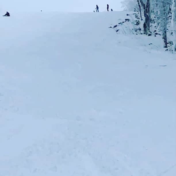 MICHICのインスタグラム：「⛷ . . . ハプニング動画、パパに激突😵‍💫 そのあと滑ってきたのは81歳のスーパーおじいちゃんです！ そう、今日は親子三世代でスキーでした . . . 冬休み23日目 #はなのスキー日記  ⛷」