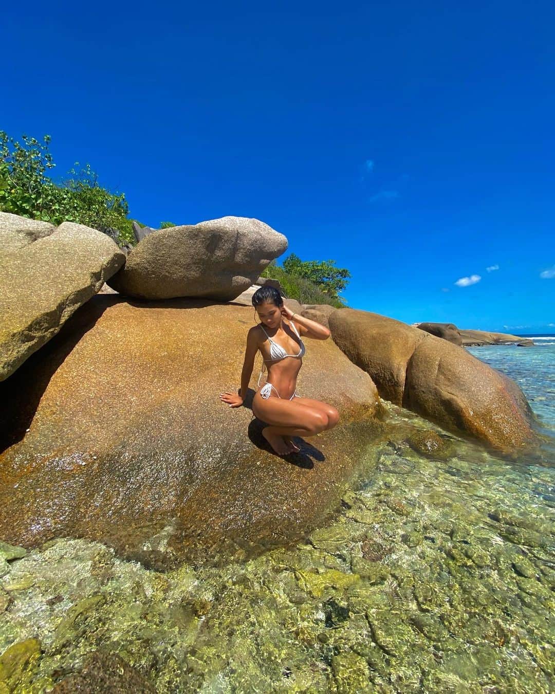佐原モニカさんのインスタグラム写真 - (佐原モニカInstagram)「Seychelles withdrawals🐢 Where’s your favourite beach?🤍」1月15日 19時45分 - moni_saha
