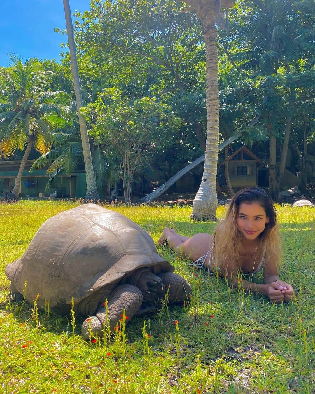 佐原モニカさんのインスタグラム写真 - (佐原モニカInstagram)「Seychelles withdrawals🐢 Where’s your favourite beach?🤍」1月15日 19時45分 - moni_saha