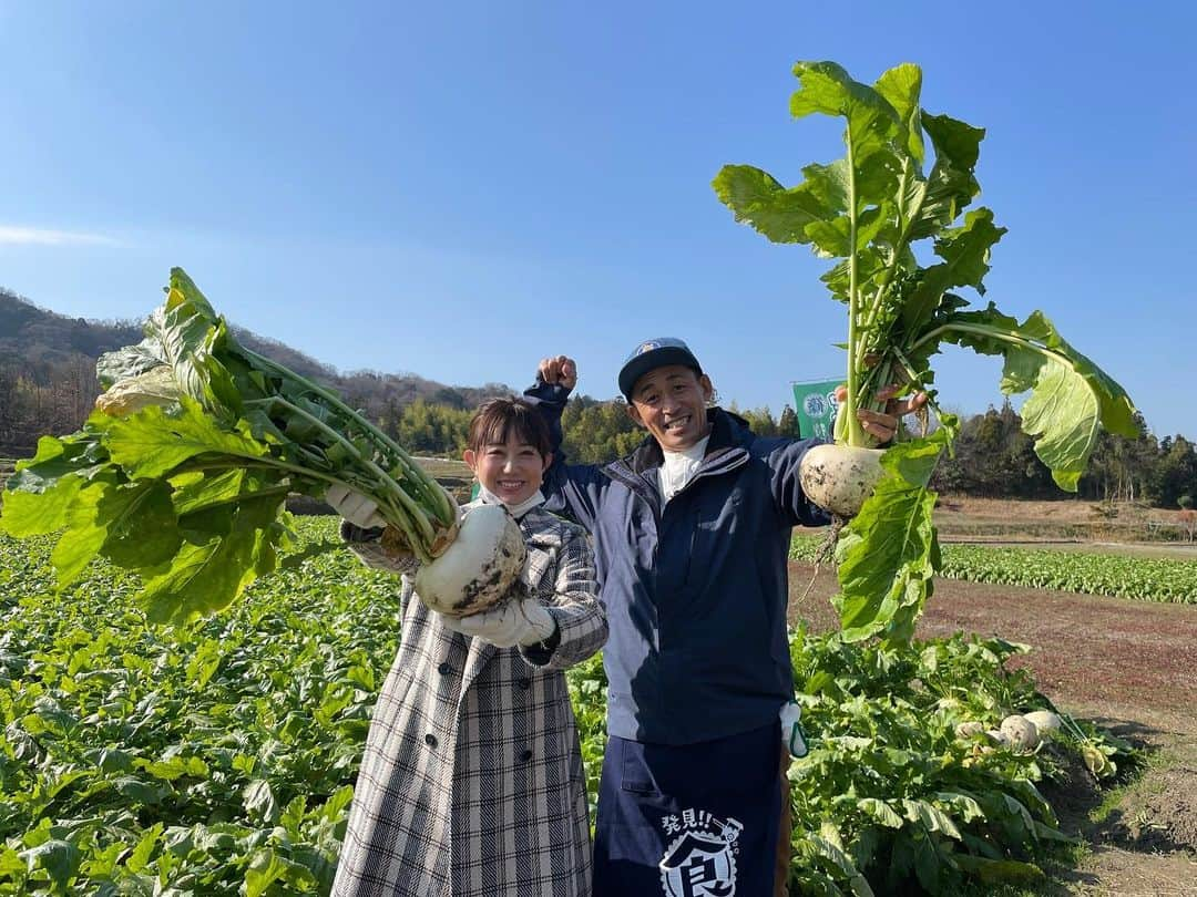 豊崎由里絵さんのインスタグラム写真 - (豊崎由里絵Instagram)「. 明日1月16日(日)朝11:30〜 テレビ大阪 「発見！！食遺産」に出演します✨ #石田靖 さんと京都府亀岡市へ 地元で愛されるレシピを 探しに行ってきました😍！ . 関西でアナウンサーをやっておきながら、 実は初めてお会いした石田靖さん！！ テレビで見るとおりの とっっってもお優しい方で、 カメラが回っていないときにも たくさん話しかけてくださり スタッフ全員への気配りがすごくて 「これが座長ということなのか…！！」 と感激してしまいました😭✨！ . 写真を見てお分かりかもしれませんが… 有名なあの食材の美味しいレシピを教わりました❤️ 関西にお住まいの皆さま、 ぜひご覧ください〜！！✨ スタイリスト　@chietohika  コート　@lhelbie_official ニット　@verofonna #発見食遺産  #京都府亀岡市」1月15日 20時15分 - yurietoyosaki