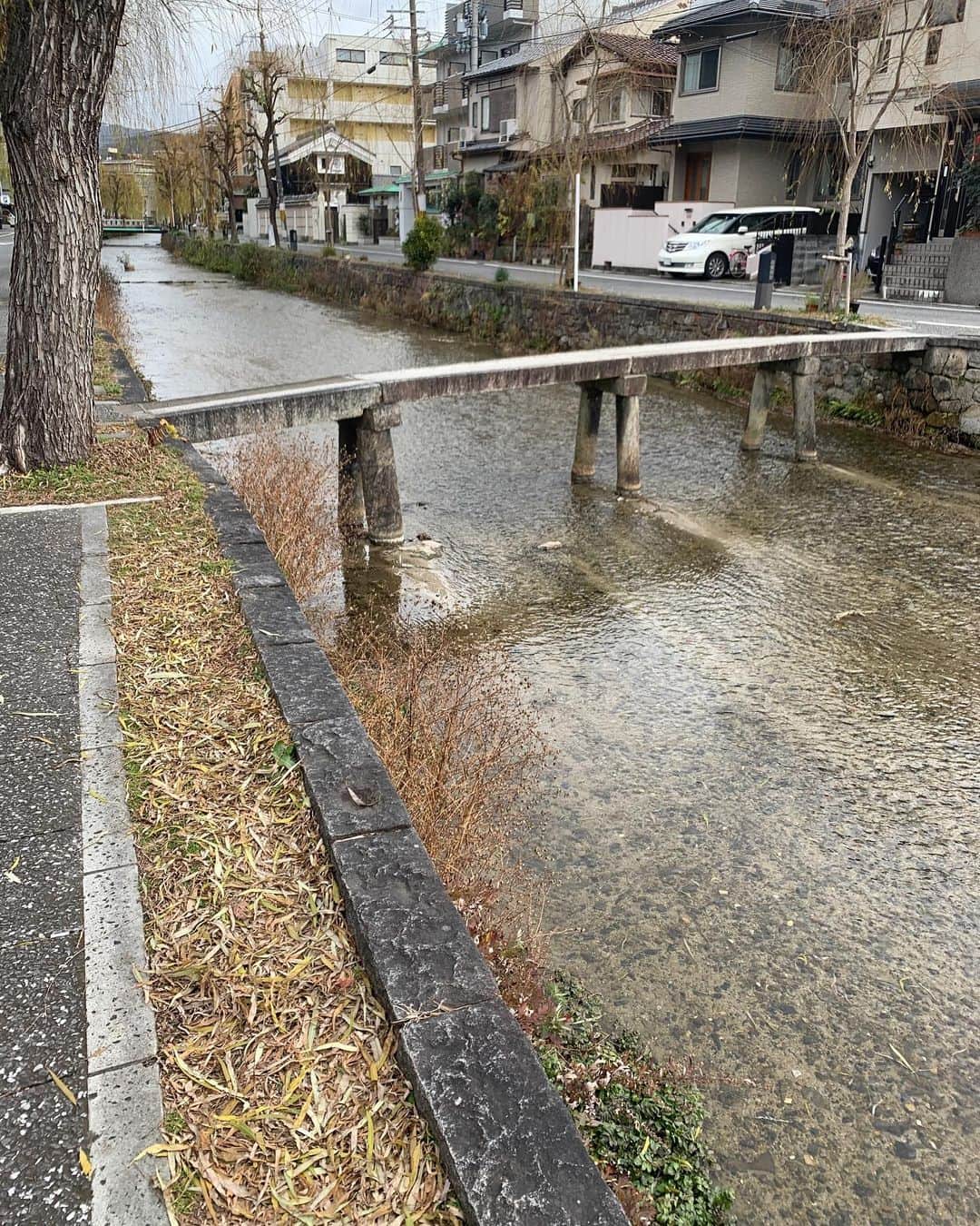 のインスタグラム：「ここすっきゃわー💕こういう所だいすき #💕 #京都の祇園の近くの白川 #この川沿いに住みたい」