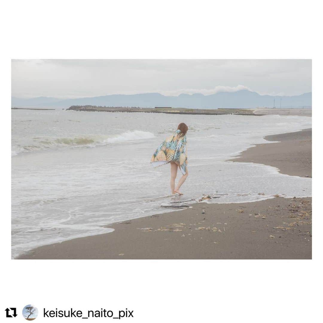 ちんかめさんのインスタグラム写真 - (ちんかめInstagram)「📷 風景写真のアカウント作りました。 湘南横浜近辺メインです 少しずつあげるので よかったらフォローして チェックよろしくお願いします  @keisuke_naito_pix」1月15日 13時24分 - ching_came